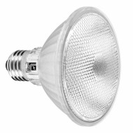 Λάμπα led PAR30 SMD E27 γυάλινη 10W 230V 6200k ψυχρό λευκό φως 1000lm στεγανή IP65