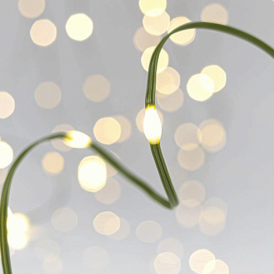 200 mini led λαμπάκια θερμό φως με 8 προγράμματα μετασχηματιστή & πλακέ πράσινο καλώδιο IP44