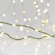 500 mini led λαμπάκια με μετασχηματιστή 8 προγράμματα IP44 & πράσινο πλακέ καλώδιο 500 mini led λαμπάκια με μετασχηματιστή 8 προγράμματα IP44 & πράσινο πλακέ καλώδιο