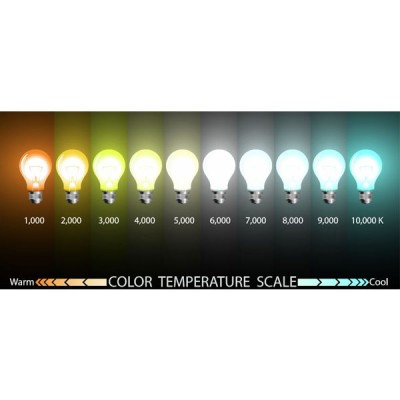Λάμπα led σφαιρική filament με ντουί Ε27 5W 230V 2700k θερμό λευκό φως 440lumen 30000h Λάμπα led σφαιρική filament με ντουί Ε27 5W 230V 2700k θερμό λευκό φως 440lumen 30000h