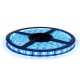 Ταινία LED 5m 24VDC 14.4W/m 2835 με 140LED σε μπλε χρώμα φωτός IP54 και δυνατότητα κοπής ανά 5cm Ταινία LED 5m 24VDC 14.4W/m 2835 με 140LED σε μπλε χρώμα φωτός IP54 και δυνατότητα κοπής ανά 5cm