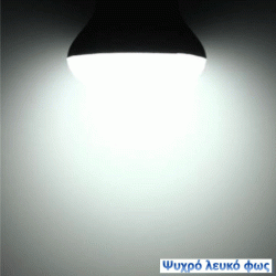 Λάμπα led Globe Ø95mm E27 12W 230V 6500k ψυχρό λευκό φως δέσμης 200° 1080 lumen