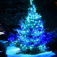 100 LED λαμπάκια 2,25W σε σειρά μπλε χρώμα φωτός με ασημί καλώδιο χαλκού & χρονοδιακόπτη IP44 10m 100 LED λαμπάκια 2,25W σε σειρά μπλε χρώμα φωτός με ασημί καλώδιο χαλκού & χρονοδιακόπτη IP44 10m