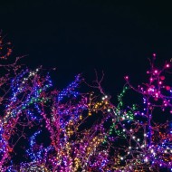  180 LED λαμπάκια σε σειρά ανά 5cm 3,3W  πολύχρωμα με 8 λειτουργίες  IP44 με μήκος 9m & πράσινο καλώδιο
