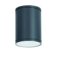 Φωτιστικό οροφής κυλινδρικό Ε27 PAR30 MAX35W 230V AC σε σκούρο γκρι χρώμα κατάλληλο για εξωτερικό χώρο IP65