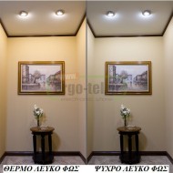 Λάμπα led R63 Ε27 ισχύος 10W 230V 6200k ψυχρό λευκό φως 1000Lm τύπου καθρέπτη με ματ κάλυμμα