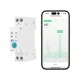Smart WiFi ρελέ ράγας 63A EGER DTR001W με τοπικό χειρισμό, χρονοδιακόπτη & χρονικό συμβατό με Tuya / Smart Life
