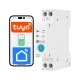 Smart WiFi ρελέ ράγας 63A EGER DTR001W με τοπικό χειρισμό, χρονοδιακόπτη & χρονικό συμβατό με Tuya / Smart Life