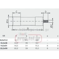 Φυσίγγιο κυλινδρικό 10Χ38 10Α AM βραδείας 440010 DF electric