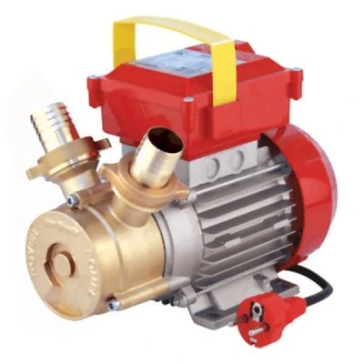 Ηλεκτραντλία πετρελαίου / κρασιού ROVER 35 CE 1Hp Ø35 2850rpm 4500Lt/h 220V μπρούτζινη Ηλεκτραντλία πετρελαίου / κρασιού ROVER 35 CE 1Hp Ø35 2850rpm 4500Lt/h 220V μπρούτζινη