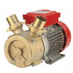 Ηλεκτραντλία πετρελαίου / κρασιού ROVER BE-M 50 3Hp 1450rpm 15000Lt/h Ø50 220V μπρούτζινη