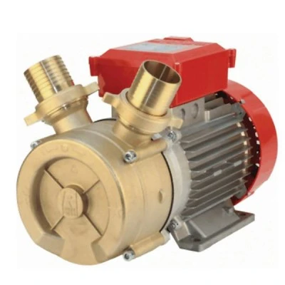 Ηλεκτραντλία πετρελαίου / κρασιού ROVER BE-M 50 3Hp 1450rpm 15000Lt/h Ø50 220V μπρούτζινη