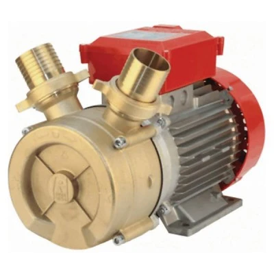 Ηλεκτραντλία πετρελαίου / κρασιού ROVER BE-T 50 3HP 1450rpm Ø50 380V μπρούτζινη 15000Lt/h