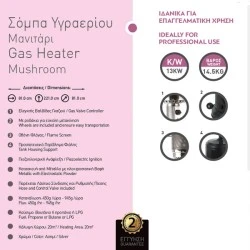 Θερμάστρα υγραερίου-μανιτάρι 13Kw με ελεγκτή βαλβίδας γκαζιού και οθόνη φλόγας επαγγελματικής χρήσης