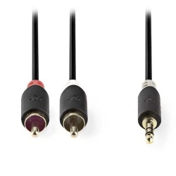 Καλώδιο NEDIS CABW22200AT10 2x RCA αρσενικό σε 3,5mm Stereo αρσενικό μήκους 1m Καλώδιο NEDIS CABW22200AT10 2x RCA αρσενικό σε 3,5mm Stereo αρσενικό μήκους 1m