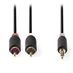 Καλώδιο NEDIS CABW22200AT30 2x RCA αρσενικό σε 3,5mm Stereo αρσενικό μήκους 3m