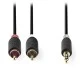 Καλώδιο NEDIS CABW22200AT100 2x RCA αρσενικό σε 3,5mm Stereo αρσενικό μήκους 10m