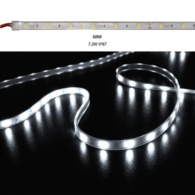 Led ταινία 5m ECO ισχύος 7.2W/m 12VDC 30led/m λευκό ψυχρό φως στεγανή IP67