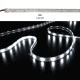 Led ταινία 5m ECO ισχύος 7.2W/m 12VDC 30led/m λευκό ψυχρό φως στεγανή IP67