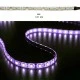 Led ταινία 5m 14.4W/m 24VDC RGB (εναλλαγής χρωμάτων) IP54 στεγανή αυτοκόλλητη 60LED5050/m