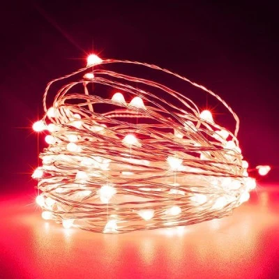 100 mini led λαμπάκια κόκκινα σε σειρά με ασημί καλώδιο χαλκού και με μετασχηματιστή IP44