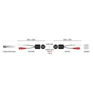Audio extender DELOCK 87857 2x RCA σε RJ45 έως 50m μαύρο 2τμχ