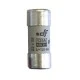 Φυσίγγιο κυλινδρικό πορσελάνης 22x58mm 125Α Gg ταχείας καύσεως
