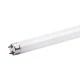 Λάμπα LED T8 G13 GLASS SMD 60cm 9W  ψυχρό φως 6000k 850lm δέσμης 320° 30000h 1 άκρου