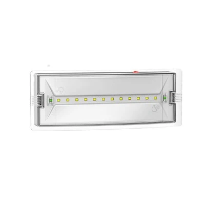 Φωτιστικό ασφαλείας 12 led SMD 3W IP65 ψυχρό φως 6500K με δυνατότητα συνεχούς λειτουργίας 