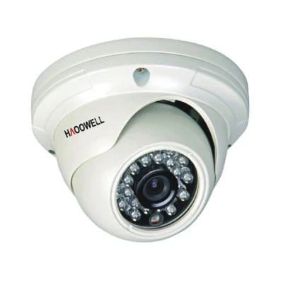 Κάμερα IP δικτυακή Οροφής Dome 1.3MP, 1080P με POE HW-DS24W-13H-POE IP66