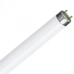 Λάμπα φθορίου T8 OSRAM με μήκος 60cm σε κόκκινο χρώμα