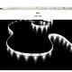 Led ταινία 5m 7.2W/m 12VDC ψυχρό λευκό φως IP54 στεγανή αυτοκόλλητη 30LED5050/m