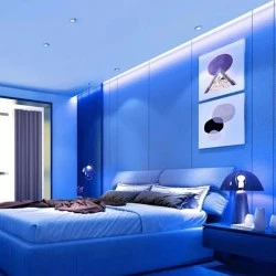 Tαινία LED ΝΕΟ 5m 24VDC12W/m μπλε χρώμα φωτός Ra80  με διάσταση 4x10mm 3YRS IP6 κατάλληλη για εξωτερικό χώρο