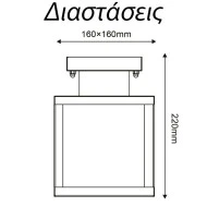 Φωτιστικό οροφής μαύρο CELIA με ντουί E27 εξωτερικού χώρου IP44 με διάφανο γυαλί