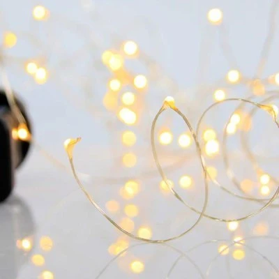 100 mini led λαμπάκια σε σειρά θερμό λευκό φως με 8 προγράμματα & μνήμη, μετασχηματιστή & ασημί χάλκινο καλώδιο IP44