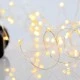 100 mini led λαμπάκια σε σειρά θερμό λευκό φως με 8 προγράμματα & μνήμη, μετασχηματιστή & ασημί χάλκινο καλώδιο IP44
