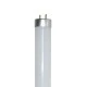 Λάμπα T8 G13 τριφωσφορική 452mm 15W ψυχρό φως 6500k 900lm 15000h