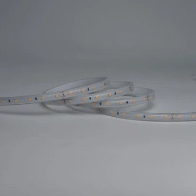 Ταινία LED εύκαμπτη 5m 60 LED/m 12VDC 10W θερμό φως 3000K IP65