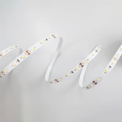 Ταινία led 5m 4,8W 24V ψυχρό λευκό φως 6500K ip20 60led/m 100lm/W cri80