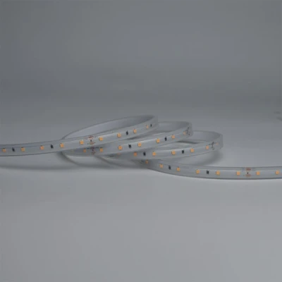Ταινία LED εύκαμπτη 5m 60 LED/m 12VDC 10W ψυχρό φως 6500K IP65