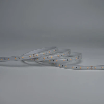 Ταινία LED εύκαμπτη 5m 60 LED/m 12VDC 5W θερμό φως 3000K IP65