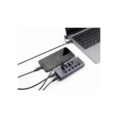 DELOCK USB hub 64248 με διακόπτες, 5x θυρών, 5Gbps, USB/USB-C σύνδεση, γκρι