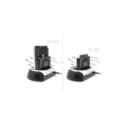 DELOCK docking station για M.2 NVMe/SATA ή 2.5"/3.5" SSD/HDD 64280, 10Gbps, μαύρο