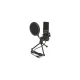 DELOCK Mικρόφωνο studio με pop φίλτρο & αντιανέμιο 66331, πυκνωτικό, USB
