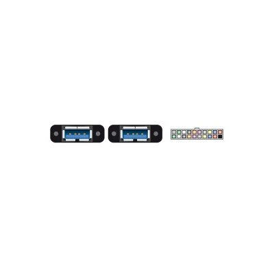 DELOCK καλώδιο USB 3.0 19 pin header (F) σε 2x USB 3.0 (F) 85244, 80cm