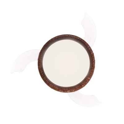 Aνεμιστήρας οροφής με LED CCT 36W 4100lm και τηλεχειριστήριο, λευκό ματ, 3 πτερύγια, 6 ταχύτητες Φ1070mm (FANRX42645) Aνεμιστήρας οροφής με LED CCT 36W 4100lm και τηλεχειριστήριο, λευκό ματ, 3 πτερύγια, 6 ταχύτητες Φ1070mm (FANRX42645)