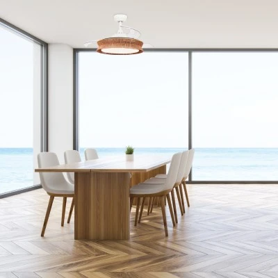 Aνεμιστήρας οροφής με LED CCT 36W 4100lm και τηλεχειριστήριο, λευκό ματ, 3 πτερύγια, 6 ταχύτητες Φ1070mm (FANRX42645) Aνεμιστήρας οροφής με LED CCT 36W 4100lm και τηλεχειριστήριο, λευκό ματ, 3 πτερύγια, 6 ταχύτητες Φ1070mm (FANRX42645)