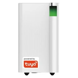 Αφυγραντήρας Wi-Fi TUYA 12L και ιονιστής αέρα 255x230x446mm 