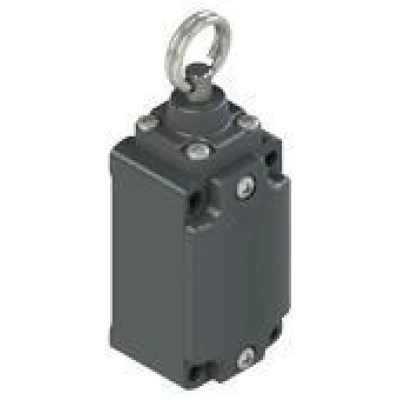 Διακόπτης τέρματος μεταλλικός IP65 PS31L-PS11N6-M00 LONGJING