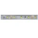 Ταινία LED μήκους 5m 6W/M 12V DC σε μπλε χρώμα φωτός 470LM/M κατάλληλη για εξωτερικό χώρο IP65 Ταινία LED μήκους 5m 6W/M 12V DC σε μπλε χρώμα φωτός 470LM/M κατάλληλη για εξωτερικό χώρο IP65